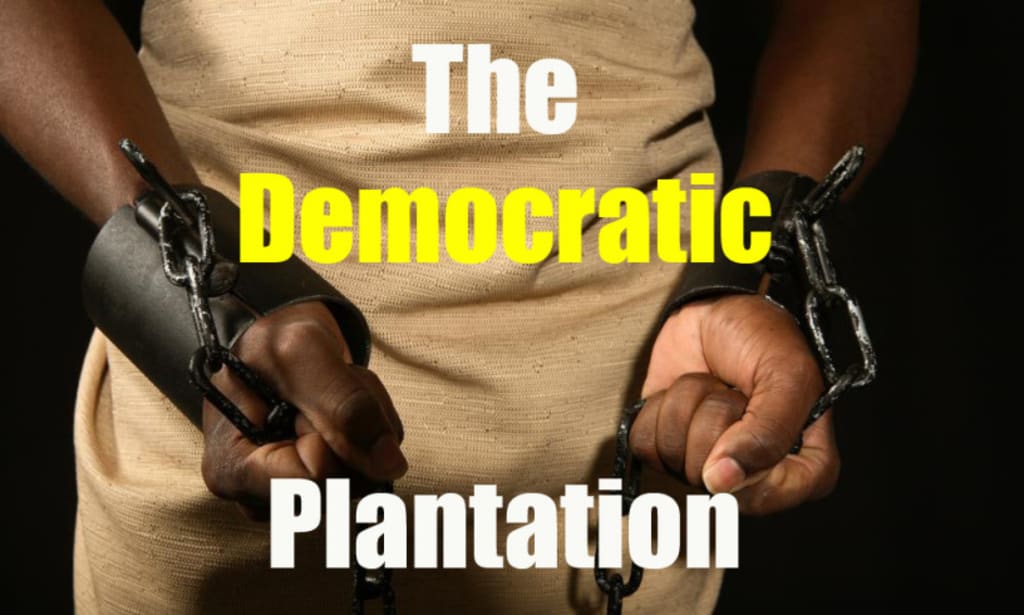 Letter From the Democratic Plantation Letter From the Democratic Plantation