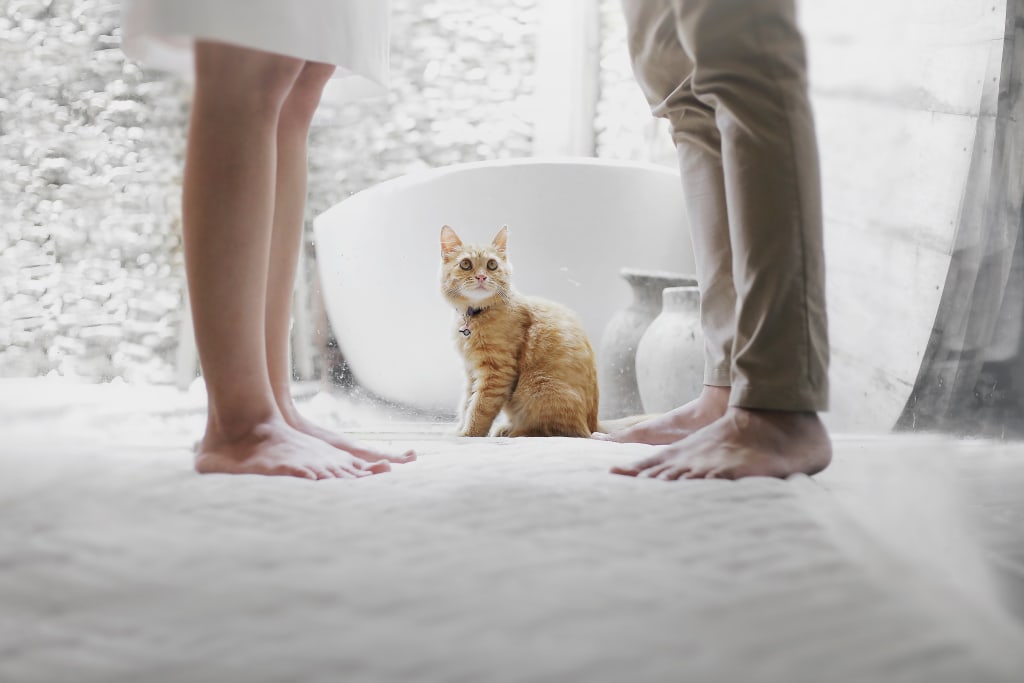 Living with Your Ex in Quarantine During a Divorce - What Not to Do Living with Your Ex in Quarantine During a Divorce - What Not to Do