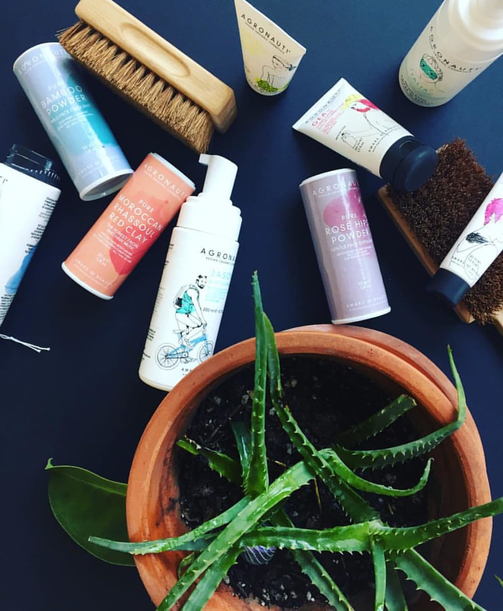 Two BIG Reasons to Use Organic Cosmetics and Why Is It Healthier to Go Organic? Food, Skincare, and More Two BIG Reasons to Use Organic Cosmetics and Why Is It Healthier to Go Organic? Food, Skincare, and More