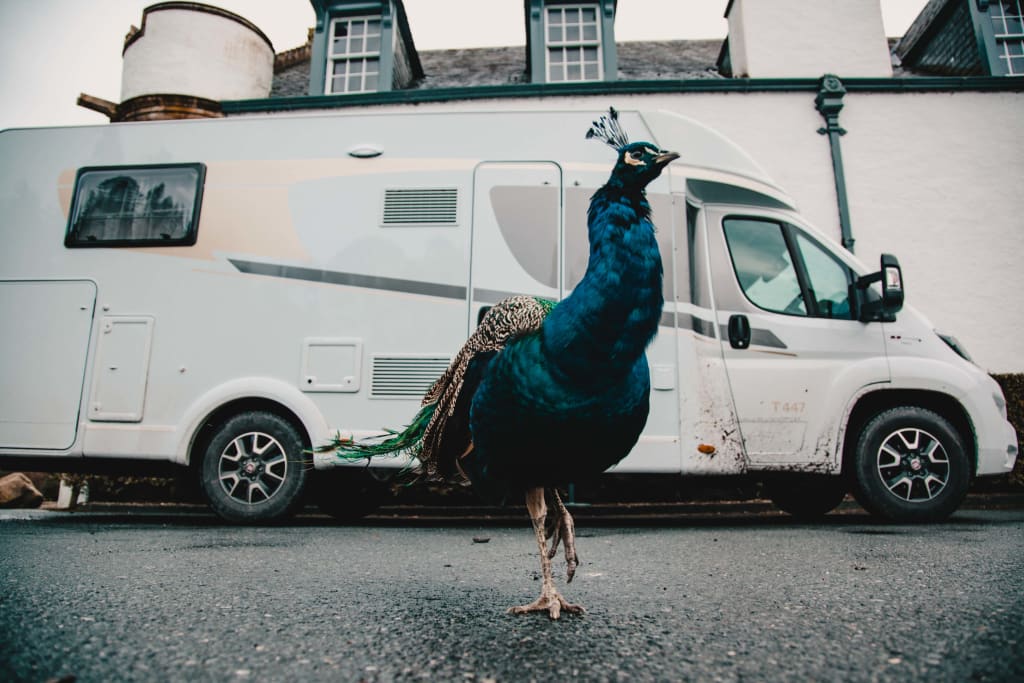 6 Questions Answered About Your New Motorhome 6 Questions Answered About Your New Motorhome