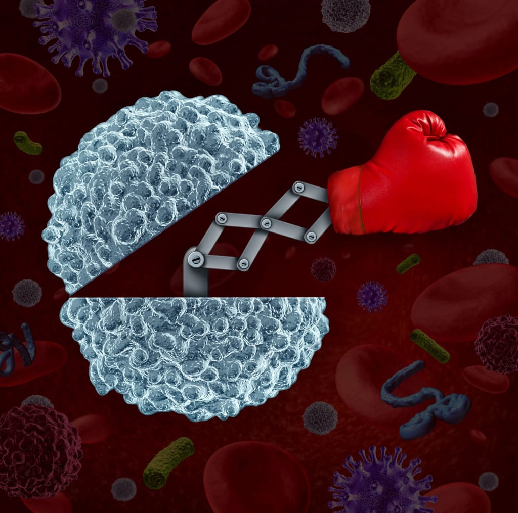 How to Boost Your Immune System How to Boost Your Immune System
