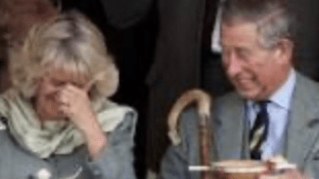 Prince Charles has coronavirus but Dutchess Camilla does not Prince Charles has coronavirus but Dutchess Camilla does not