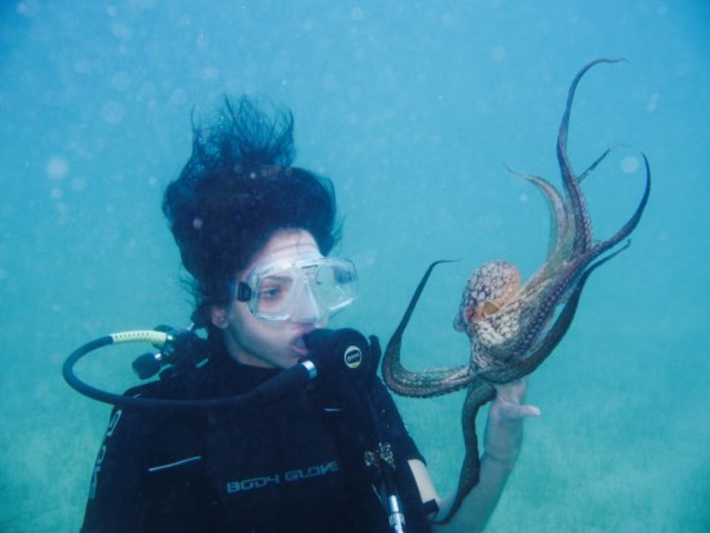 Unpopular Opinion: Octopuses are Underrated Unpopular Opinion: Octopuses are Underrated