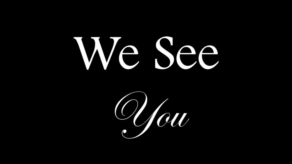 We see you We see you