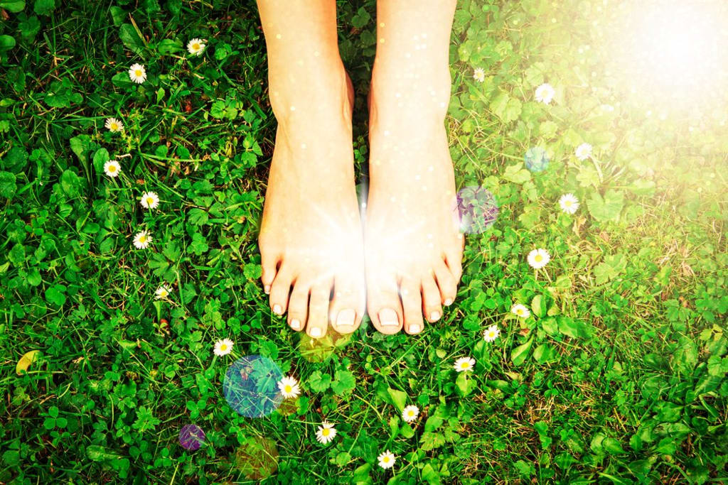 Rebel. Let's Walk Like Our Feet Are Kissing The Earth. Rebel. Let's Walk Like Our Feet Are Kissing The Earth.
