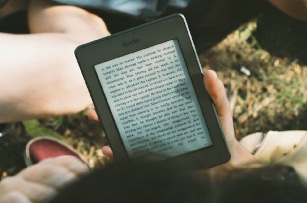 The Devaluing of Literature by the Digitization of Books The Devaluing of Literature by the Digitization of Books