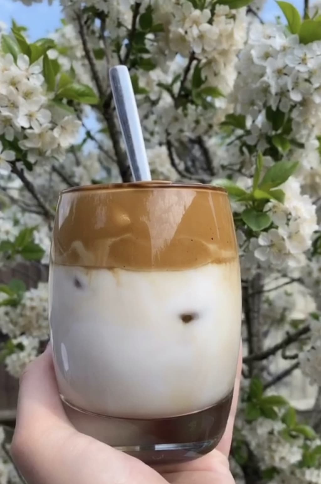 The Frothy Coffee that everyone is loving The Frothy Coffee that everyone is loving