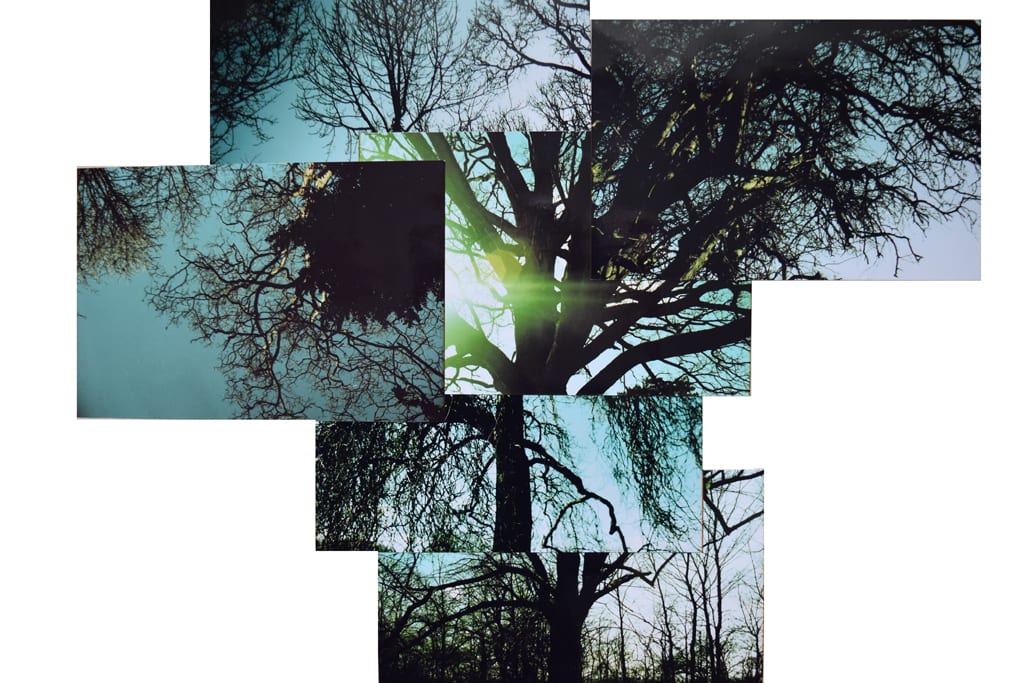 Conscious Streaming 001 Conscious Streaming 001