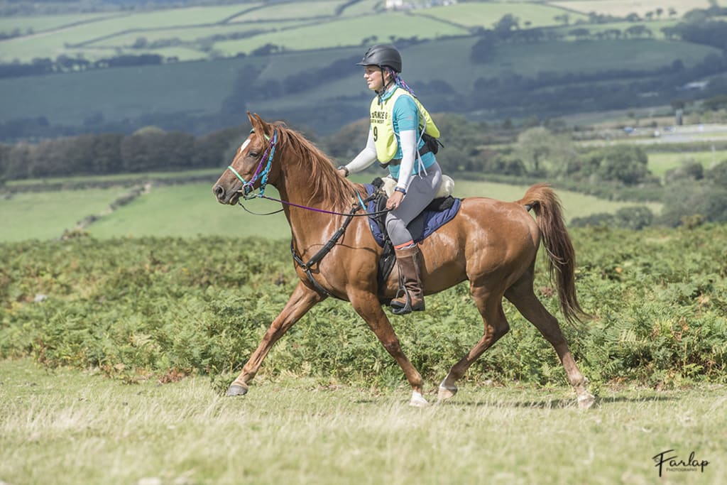The Dartmoor Ride The Dartmoor Ride
