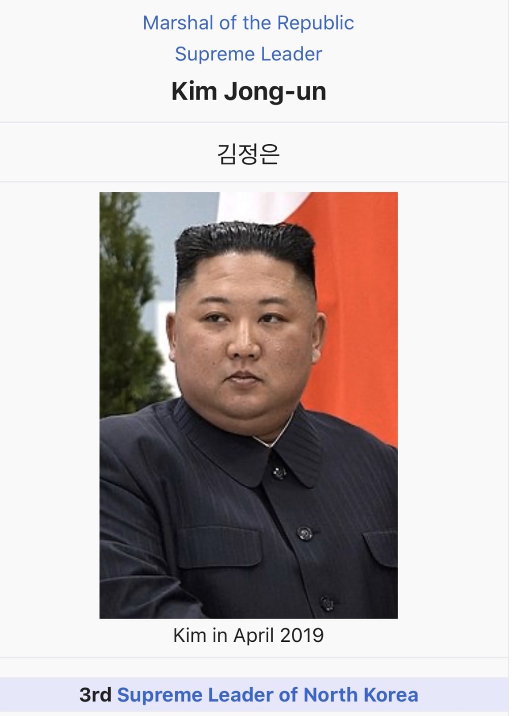 Clone Dictators of North Korea Clone Dictators of North Korea