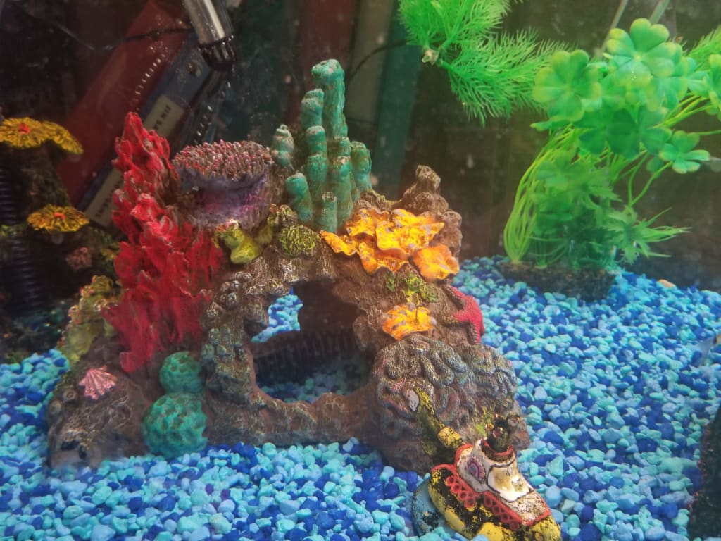 My Fish Story My Fish Story