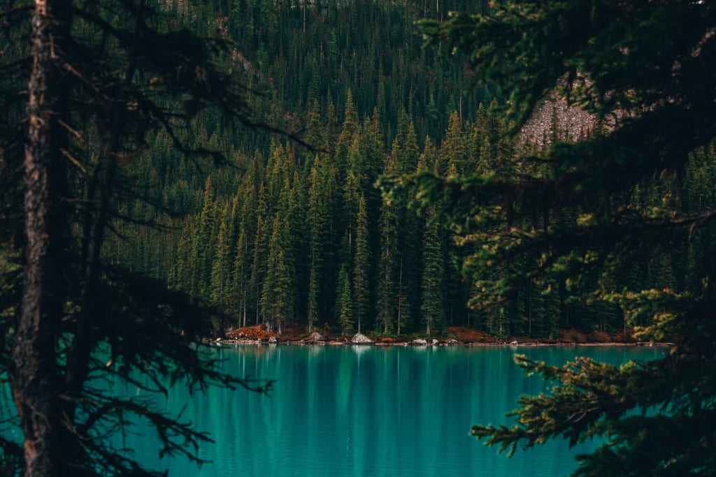 You Can Find The Good Side Of Everything You Can Find The Good Side Of Everything