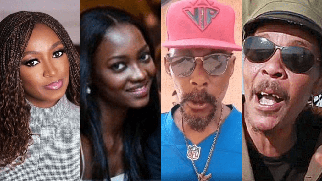13 Celebrity Twins: Nigeria Edition. 13 Celebrity Twins: Nigeria Edition.