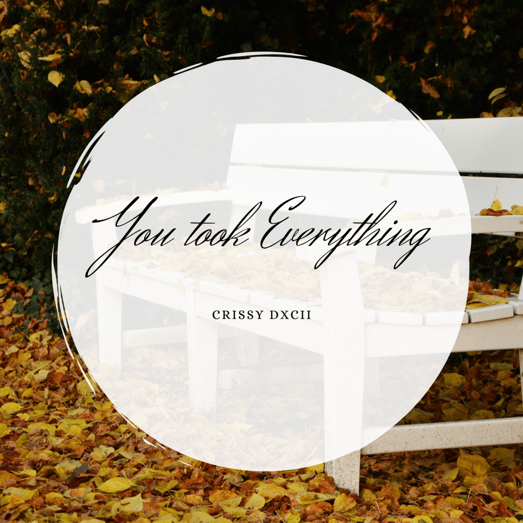 You Took Everything You Took Everything