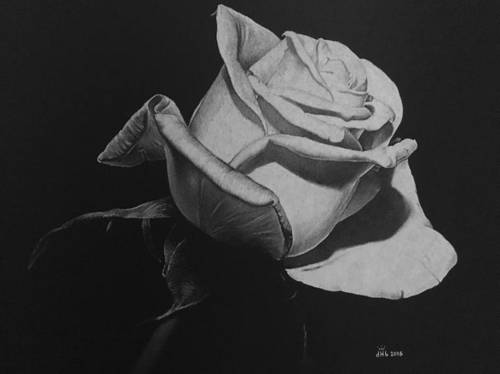 Rose Rose