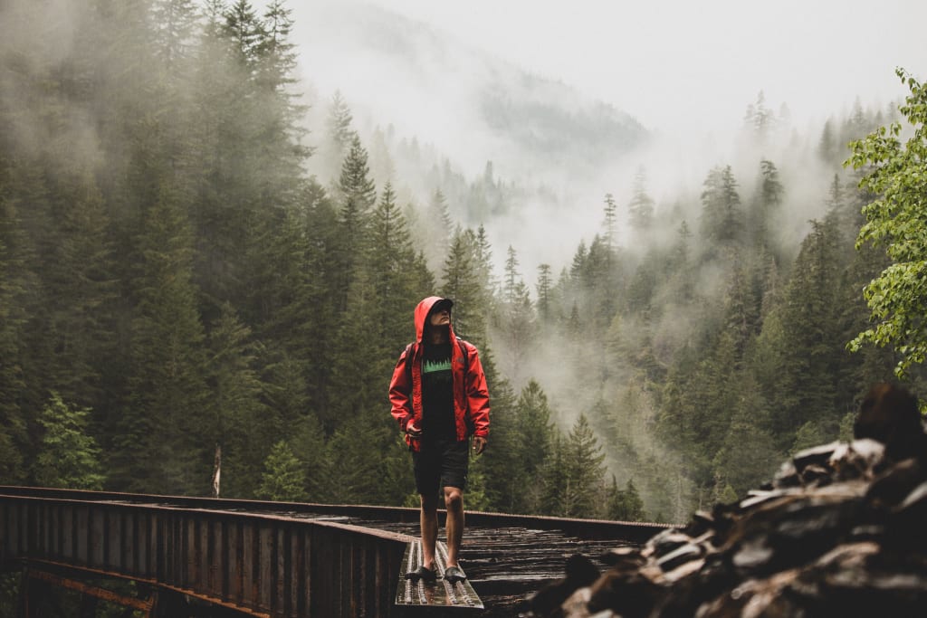 Stop fast fashion and protect our forests. Stop fast fashion and protect our forests.