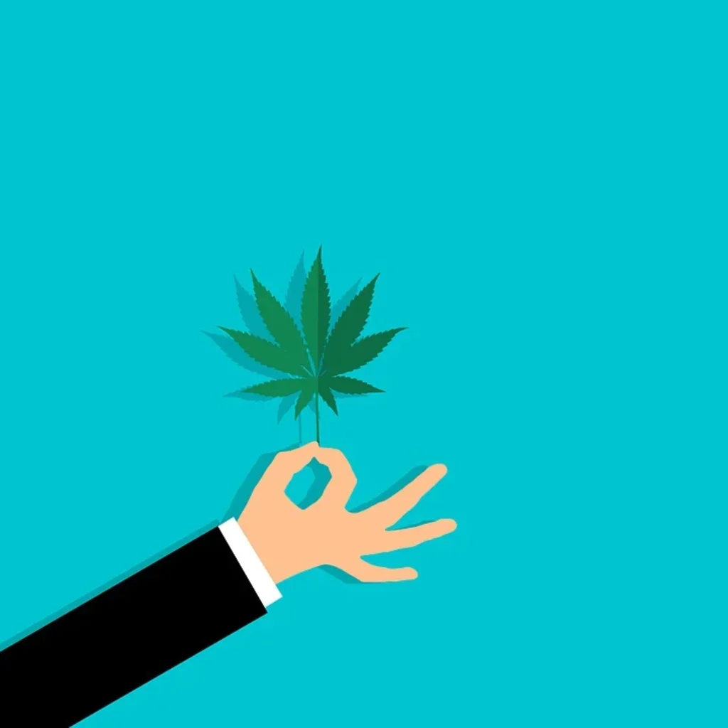 Going over a Few Misconceptions About Medical Marijuana Going over a Few Misconceptions About Medical Marijuana