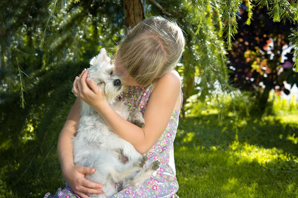 Adorable and Meaningful Gifting Ideas for Dog Lovers Adorable and Meaningful Gifting Ideas for Dog Lovers