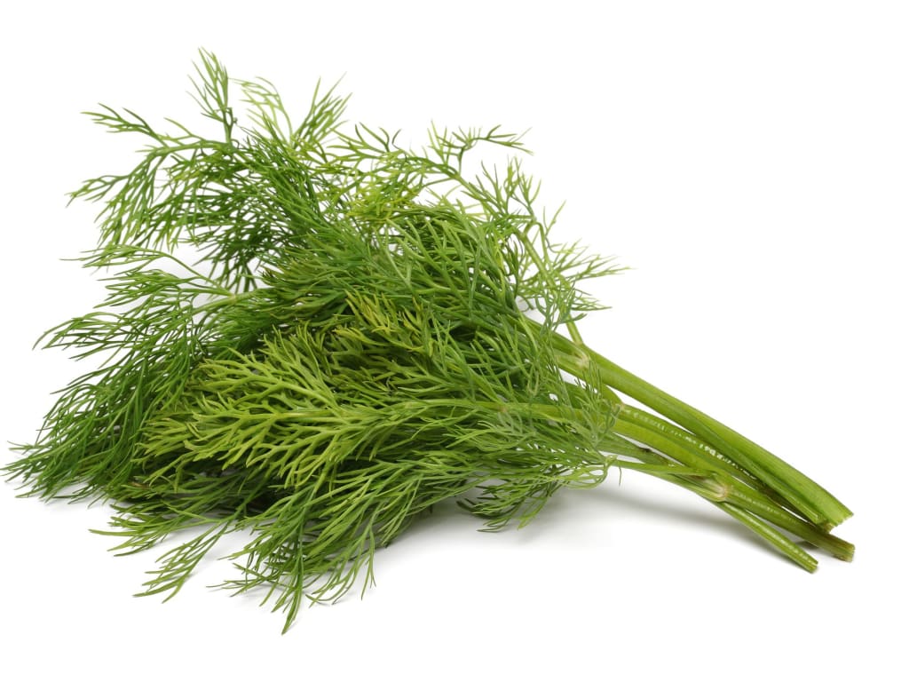 What's The Deal, Dill? What's The Deal, Dill?