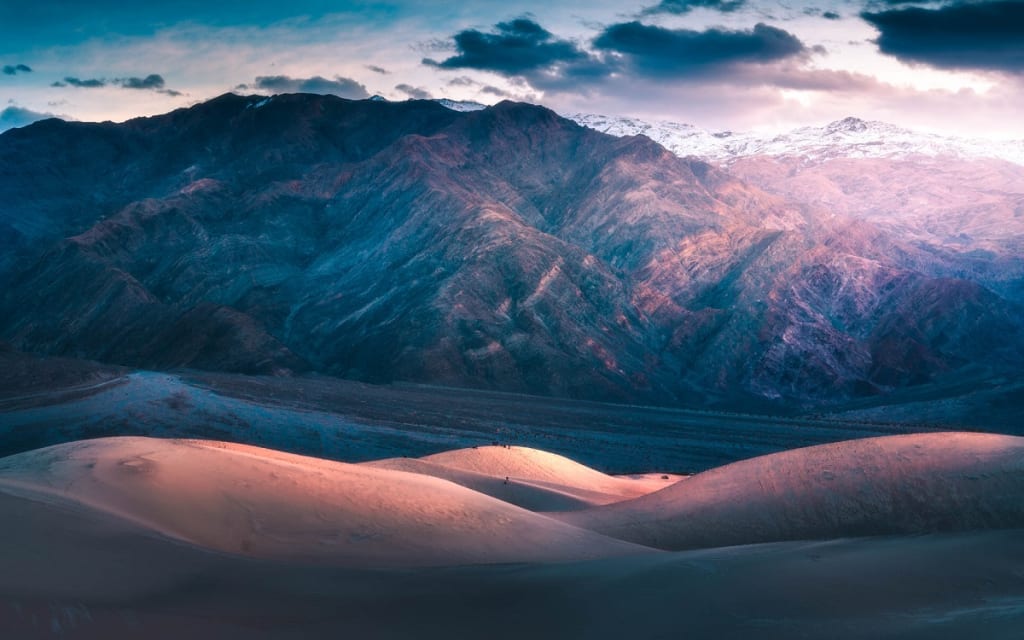 Desert Dreams Desert Dreams