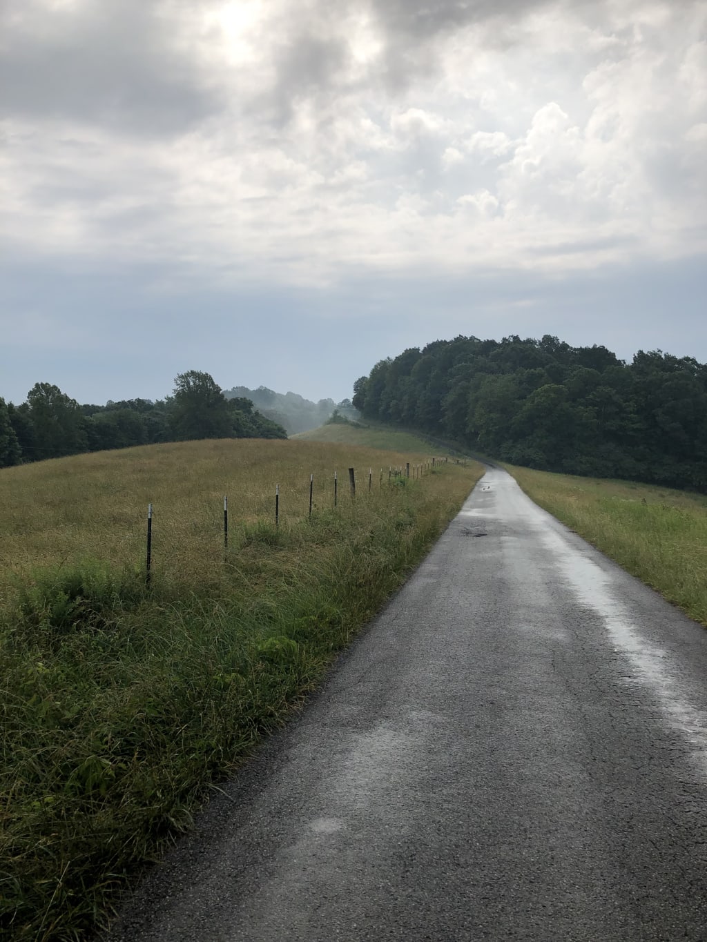 The Country Road The Country Road