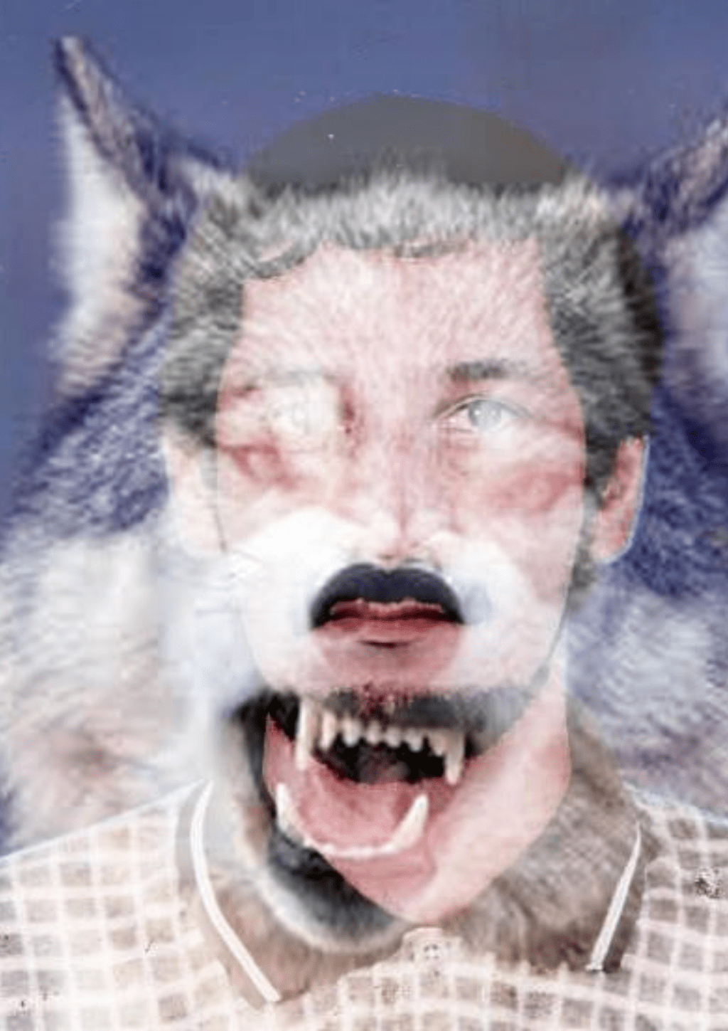 The werewolf hunter in the mansion over the hill - Part 3 The werewolf hunter in the mansion over the hill - Part 3
