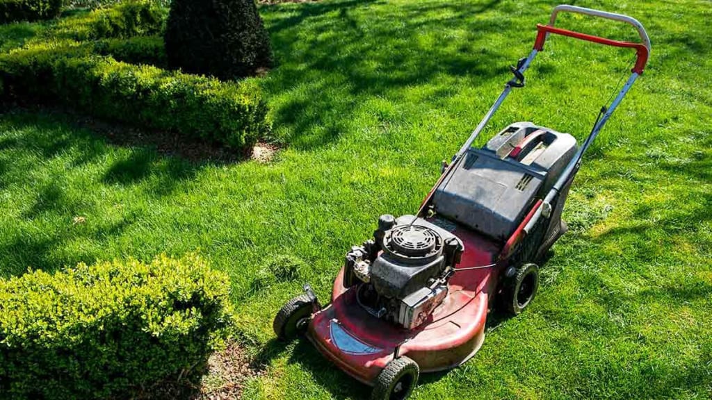 Taking Good Care of Your Lawn Taking Good Care of Your Lawn