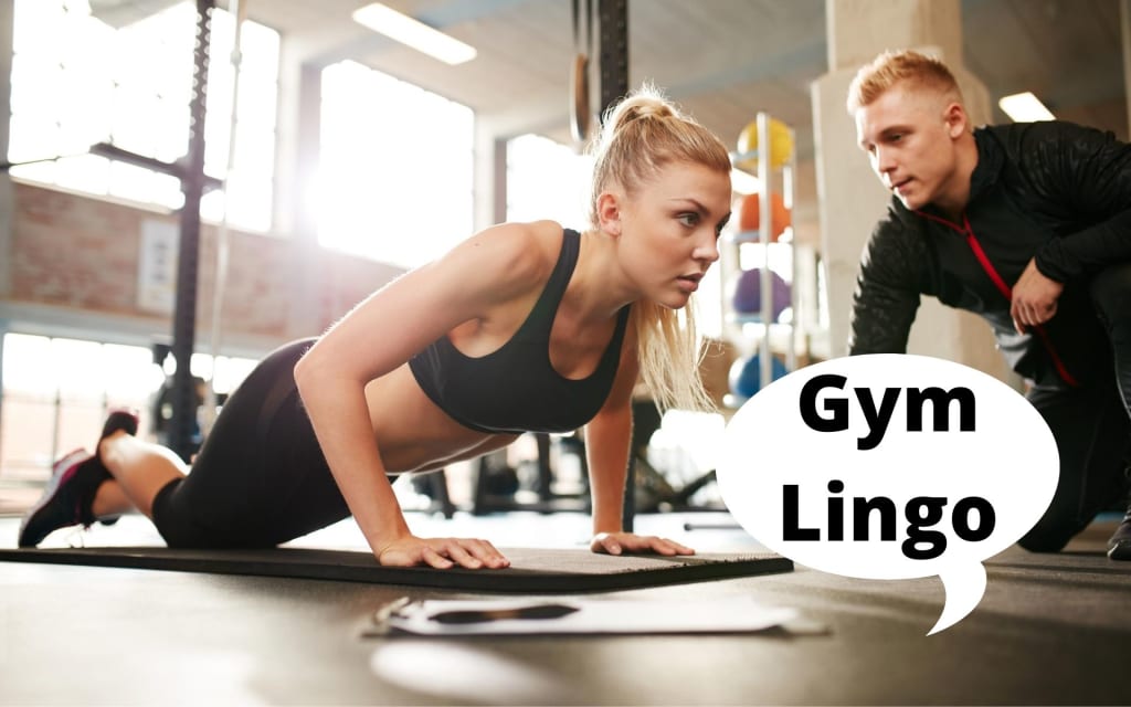 Gym Lingo Gym Lingo