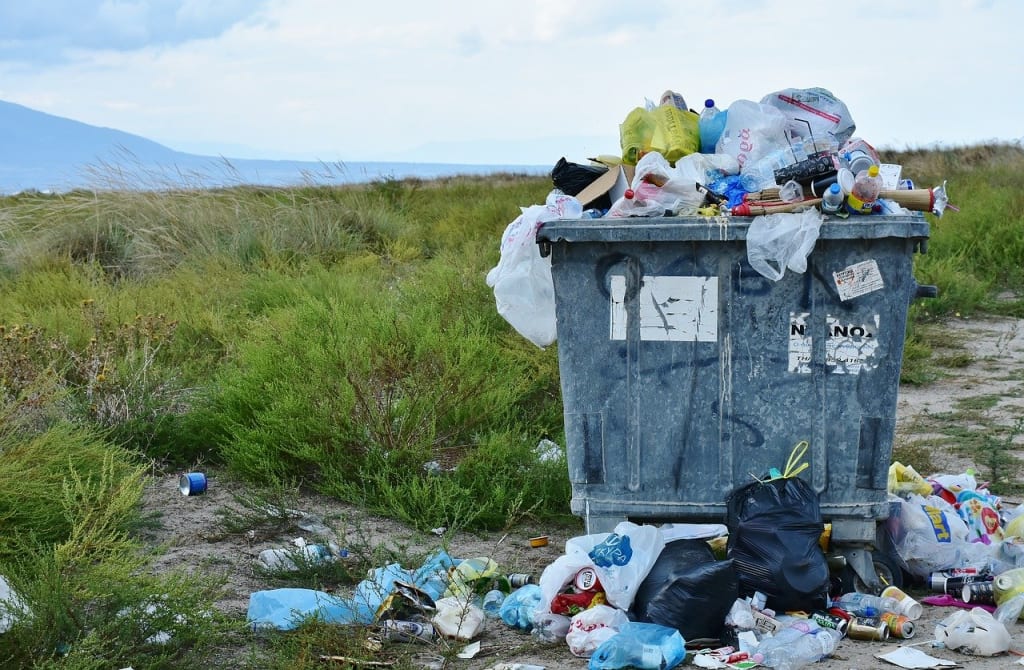 Our Throwaway Culture Our Throwaway Culture