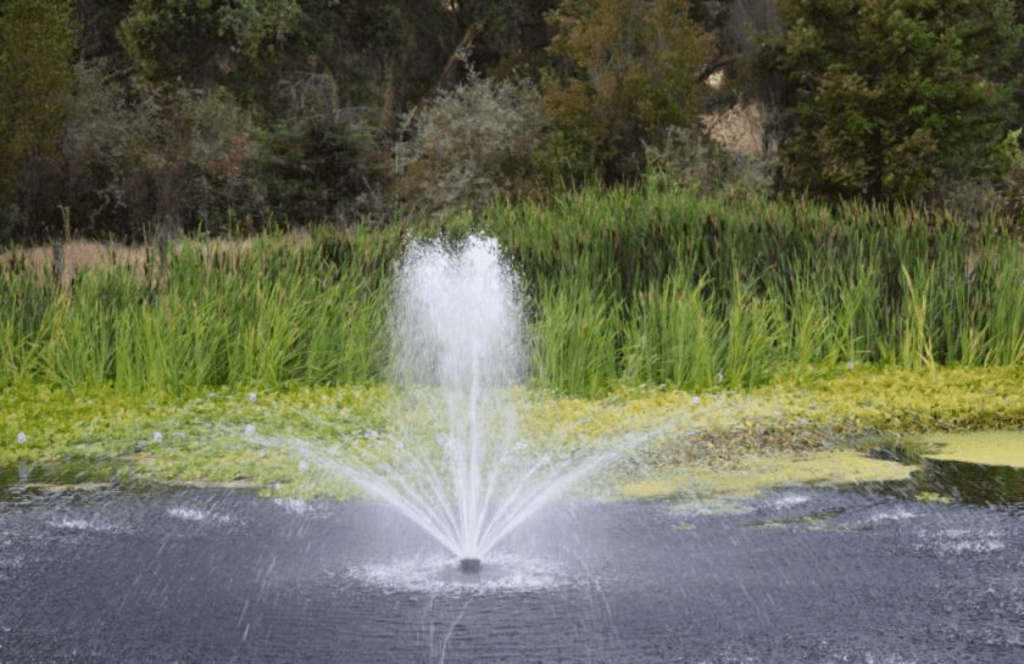 5 Major Benefits of Installing Pond Fountains