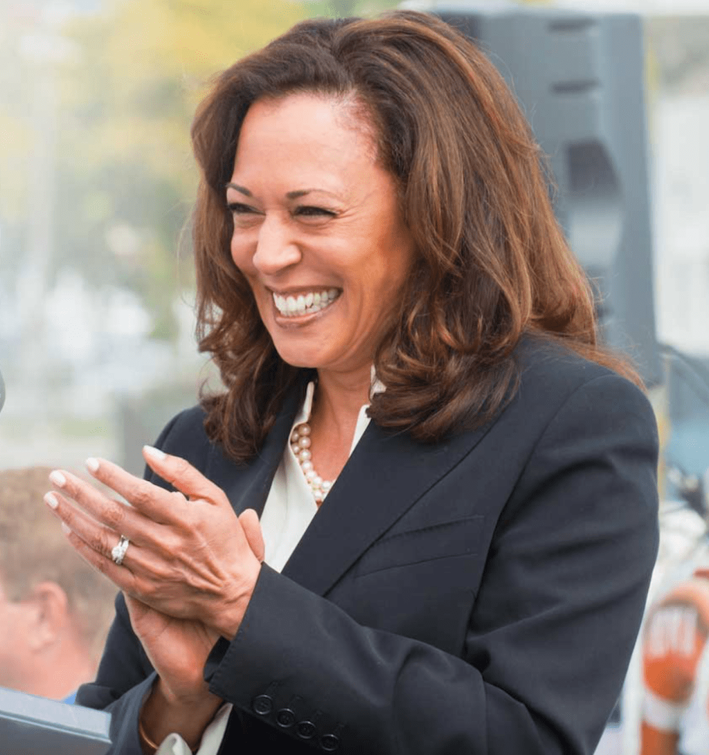 Kamala Harris: Interesting Things About Joe Biden's Running Mate Kamala Harris: Interesting Things About Joe Biden's Running Mate