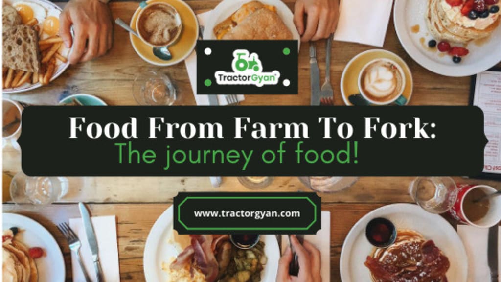 From farm to fork: The journey of your food! From farm to fork: The journey of your food!
