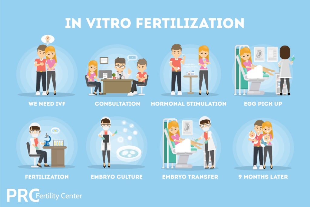 ivf patient journey