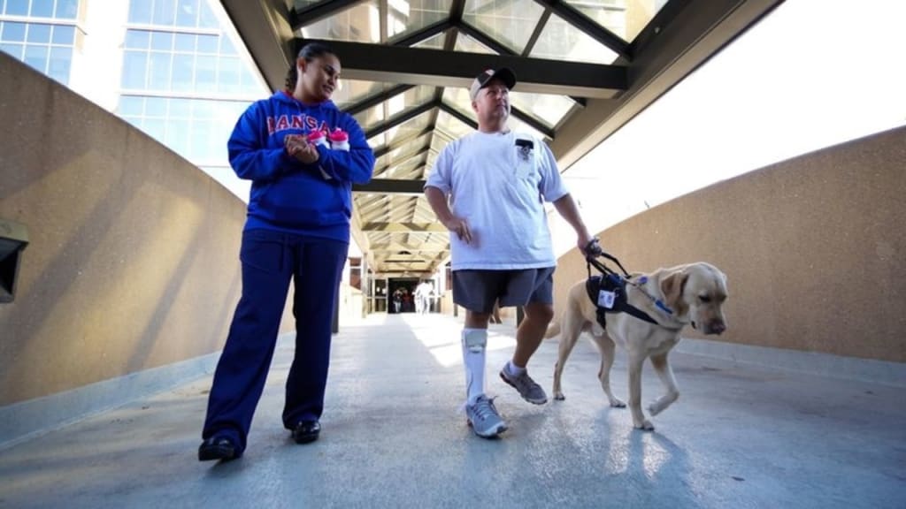 Sam Ivy for Your Virtual Dog Trainer Sam Ivy for Your Virtual Dog Trainer