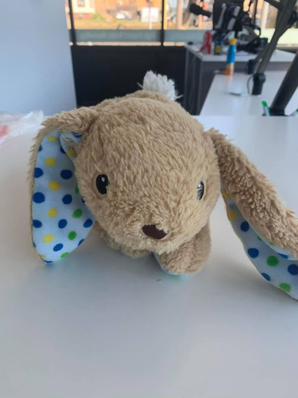 Using the Power of Tik Tok to Reunite a Child with a Toy Using the Power of Tik Tok to Reunite a Child with a Toy