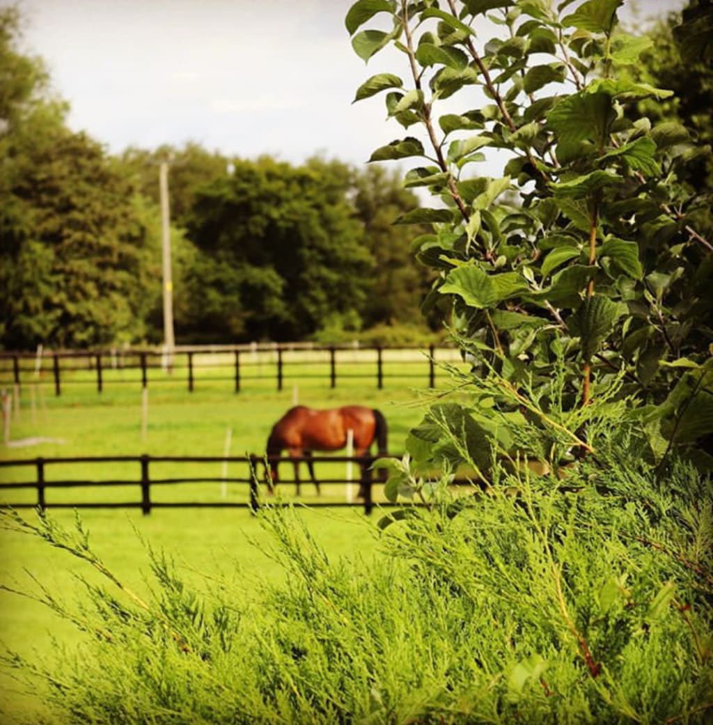 A move to the country: A move to the country: