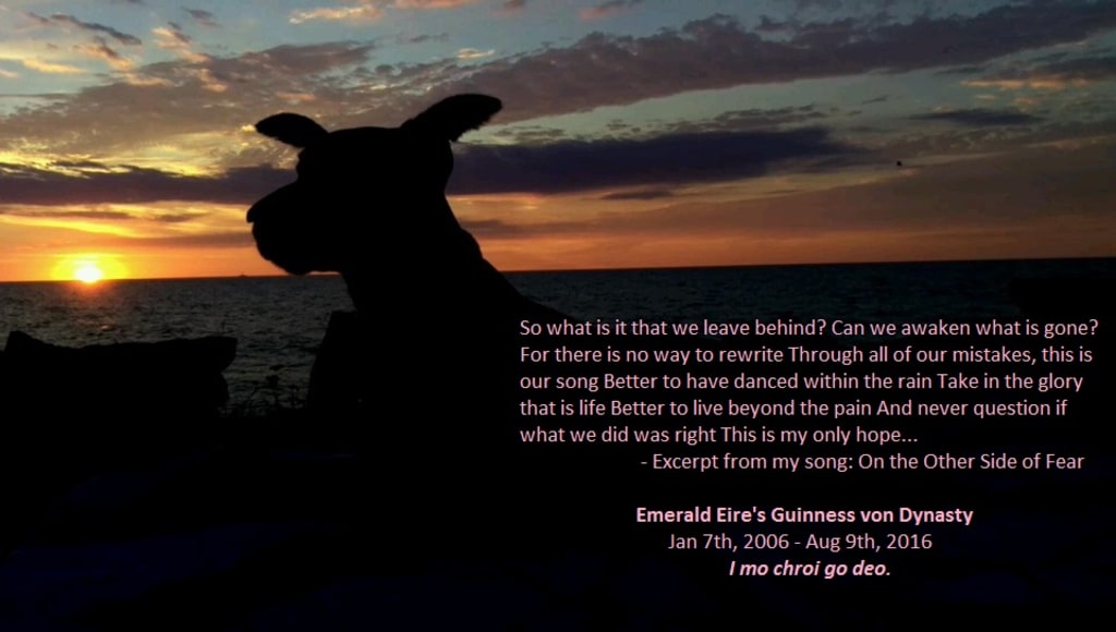 A Vet Tech's Farewell to Her Best Friend A Vet Tech's Farewell to Her Best Friend