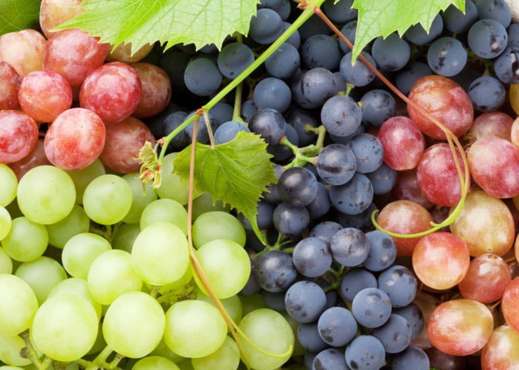 13 Reasons You Should Eat Grapes 13 Reasons You Should Eat Grapes