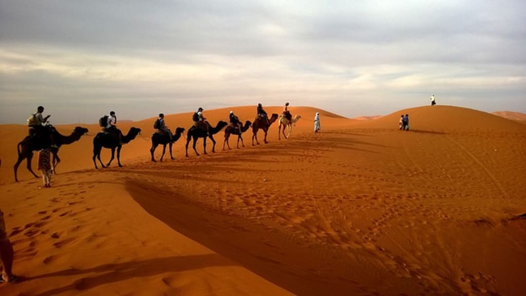05 Unique Experiences to Enjoy in Dubai That Everyone Should Know
05 Unique Experiences to Enjoy in Dubai That Everyone Should Know