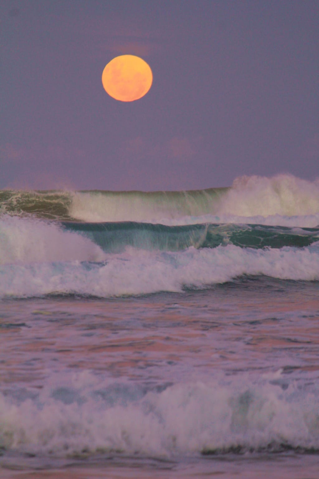 See You at Crystal Cove See You at Crystal Cove