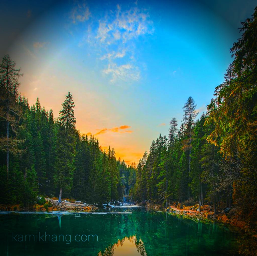 Mindblowing facts about Ashoka Tree You should come to know in 2020