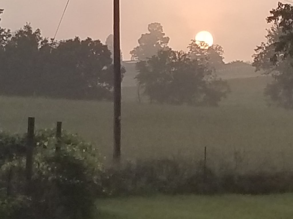 SUN SALUTATION SUN SALUTATION