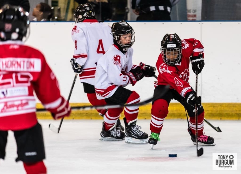 Junior Stars look to the future Junior Stars look to the future
