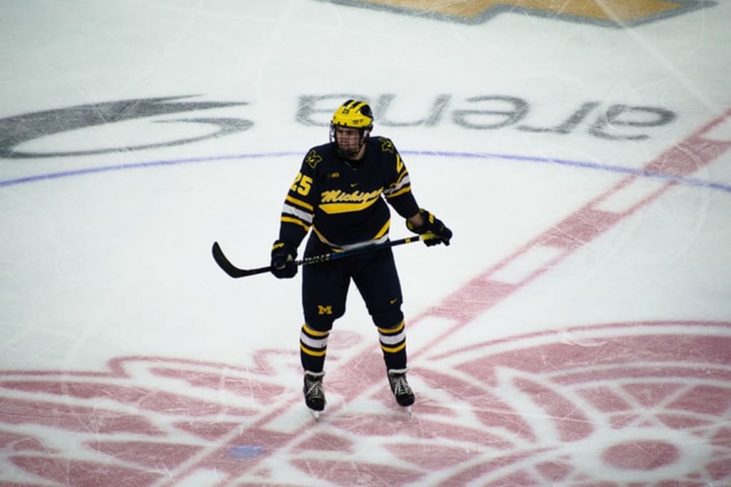 Best guide on NHL and Hockey in 2020 Best guide on NHL and Hockey in 2020