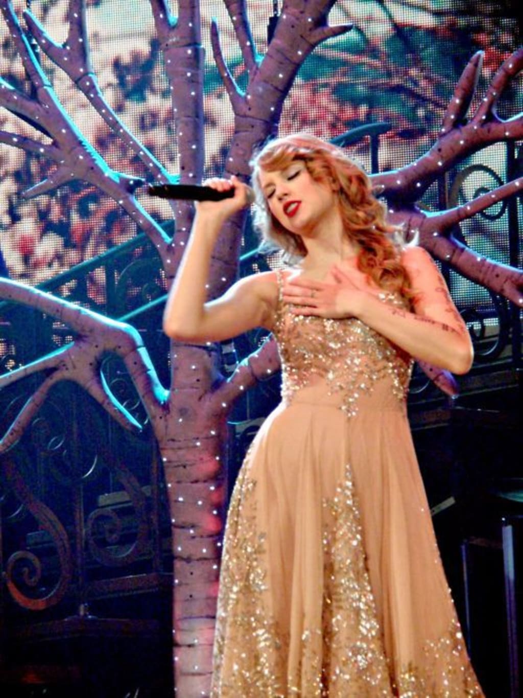 speak now tour bride