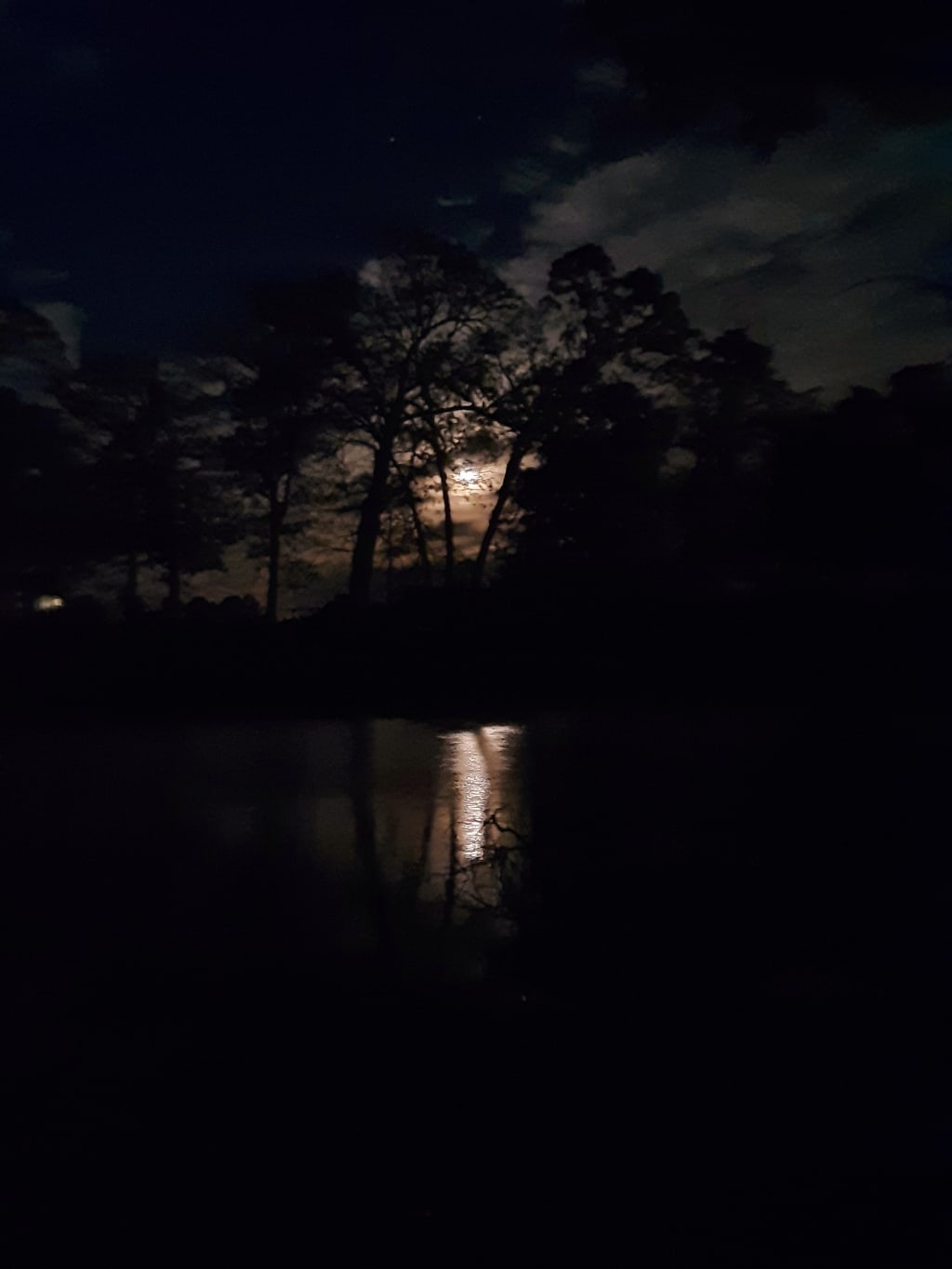 Sometimes even the wolves are silent Sometimes even the wolves are silent