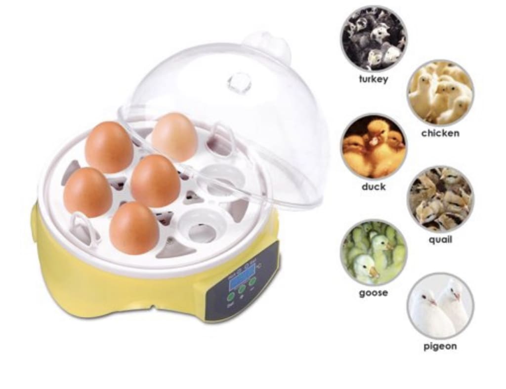 Incubating? Incubating?