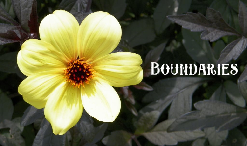 Boundaries for Your Growth Boundaries for Your Growth