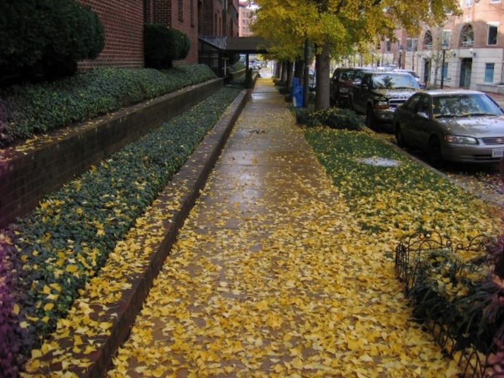 October October