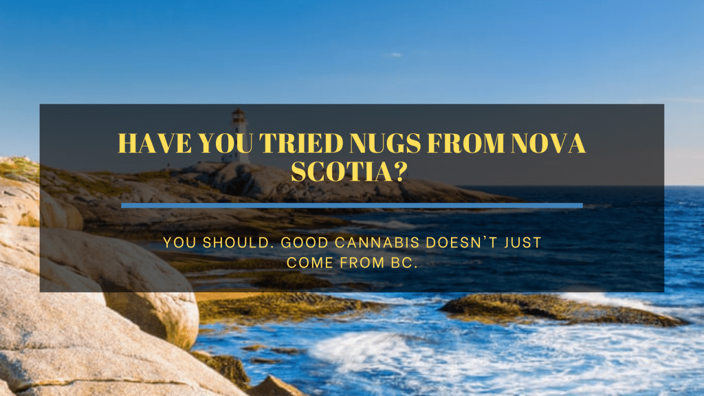 Have you tried Nugs from Nova Scotia? Have you tried Nugs from Nova Scotia?